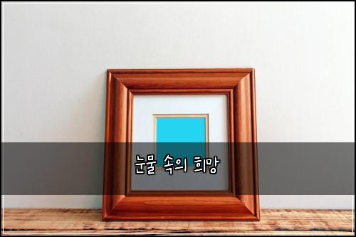 눈물 속의 희망