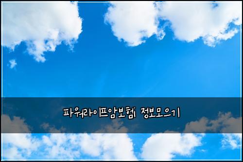ํ์๋ผ์ดํ์๋ณดํi ์ ๋ณด๋ชจ์ผ๊ธฐ
