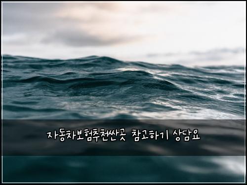 ์๋์ฐจ๋ณดํ์ถ์ฒ์ผ๊ณณ ์ฐธ๊ณ ํ๊ธฐ ์๋ด์