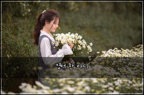 영어 한 마디