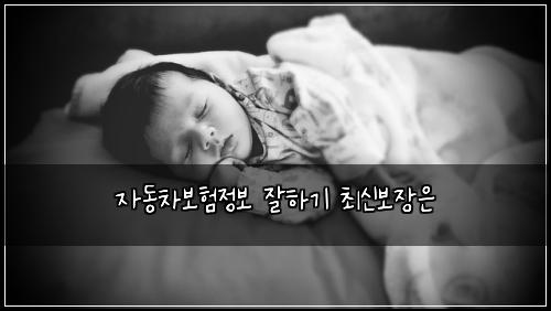 ์๋์ฐจ๋ณดํ์ ๋ณด ์ํ๊ธฐ ์ต์ ๋ณด์ฅ์