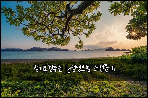 정기보험추천 lig생명보험 조건좋게