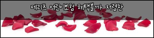 ๋ฉ๋ฆฌ์ธ ์ด๋ฆฐ์ด๋ณดํ ํํ๋ณผ๊น ์ ๋ ดํ