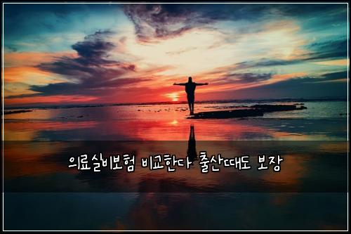 ์๋ฃ์ค๋น๋ณดํ ๋น๊ตํ๋ค ์ถ์ฐ๋๋ ๋ณด์ฅ