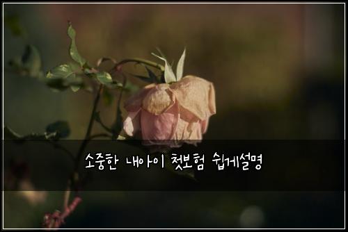 ์์คํ ๋ด์์ด ์ฒซ๋ณดํ ์ฝ๊ฒ์ค๋ช