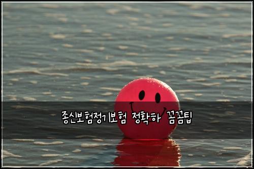 ์ข
์ ๋ณดํ์ ๊ธฐ๋ณดํ ์ ํํ ๊ผผ๊ผผํ