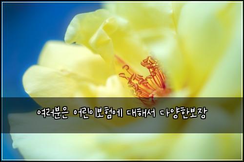 여러분은 어린이보험에 대해서 다양한보장
