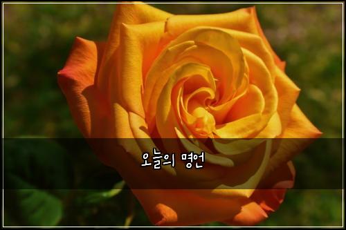 오늘의 명언