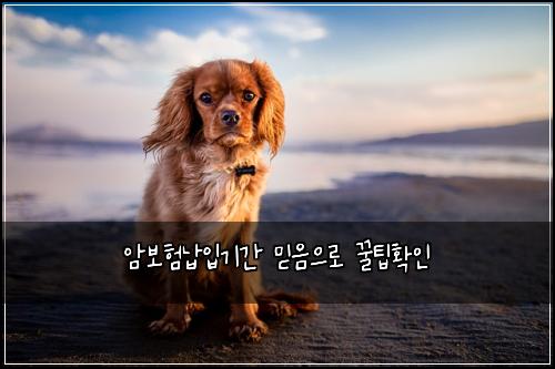 암보험납입기간 믿음으로 꿀팁확인