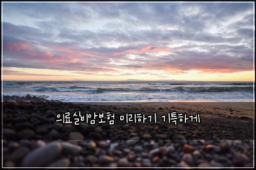 ์๋ฃ์ค๋น์๋ณดํ ๋ฏธ๋ฆฌํ๊ธฐ ๊ธฐํนํ๊ฒ