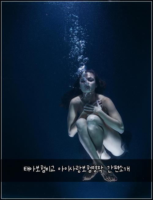 태아보험비교 아이사랑보험명작 간편소개