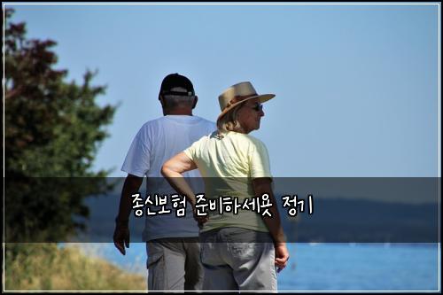 종신보험 준비하세욧  정기