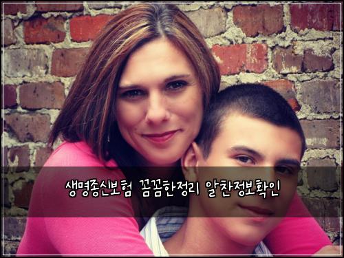 생명종신보험 꼼꼼한정리  알찬정보확인