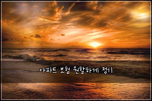 아파트 보험 원할하게  정기