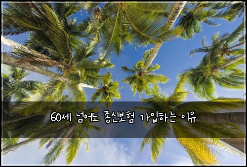 60세 넘어도 종신보험 가입하는 이유