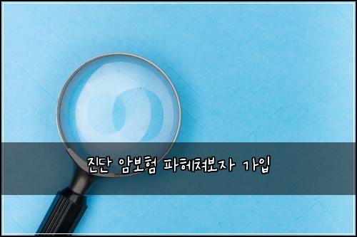 ์ง๋จ ์๋ณดํ ํํค์ณ๋ณด์ ๊ฐ์