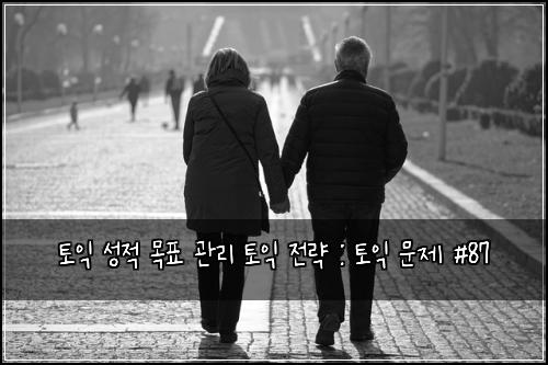 토익 성적 목표 관리 토익 전략 : 토익 문제 #87