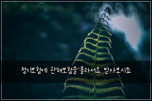 정기보험에 관해보험을 몰라서요 받아보시죠