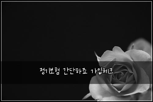 정기보험 간단하죠  가입체크