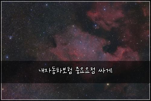 λ΄μλ차보ν μ€μμμ μΈκ²