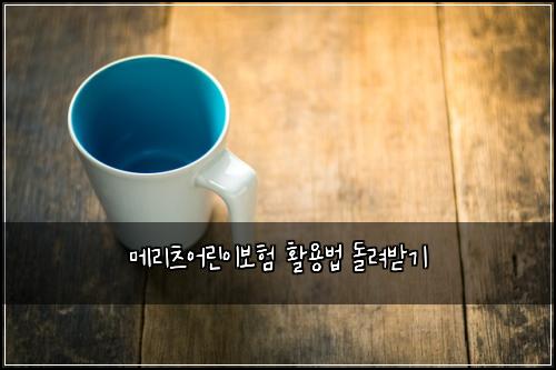 메리츠어린이보험 활용법  돌려받기