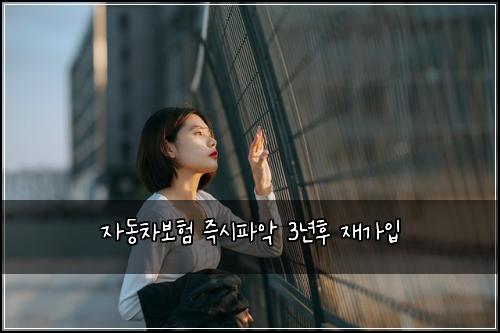 ์๋์ฐจ๋ณดํ ์ฆ์ํ์
3๋
ํ ์ฌ๊ฐ์