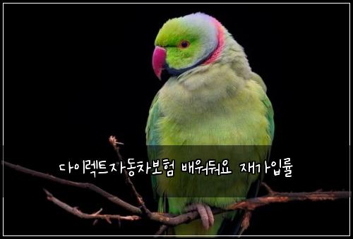 ๋ค์ด๋ ํธ์๋์ฐจ๋ณดํ ๋ฐฐ์๋ฌ์ ์ฌ๊ฐ์
๋ฅ