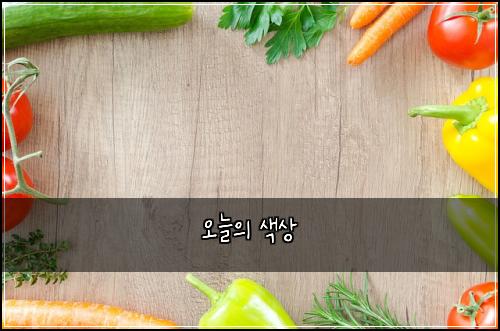오늘의 색상
