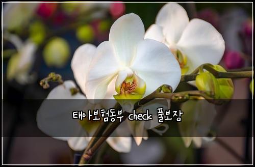 ํ์๋ณดํ๋๋ถ check ํ๋ณด์ฅ