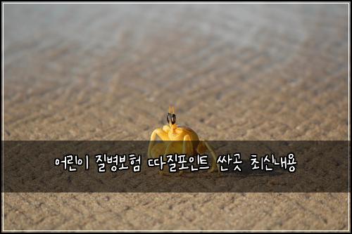 어린이 질병보험 따질포인트  싼곳 최신내용