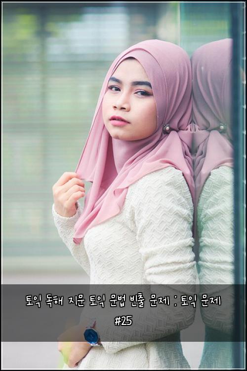 토익 독해 지문 토익 문법 빈출 문제 : 토익 문제 #25