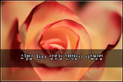 ๊ณ ํ์ ํ์ ์๋ณดํ ๊ฒฌ์ ์ฐพ๊ธฐ ๊ฐ์
๋ฐฉ๋ฒ