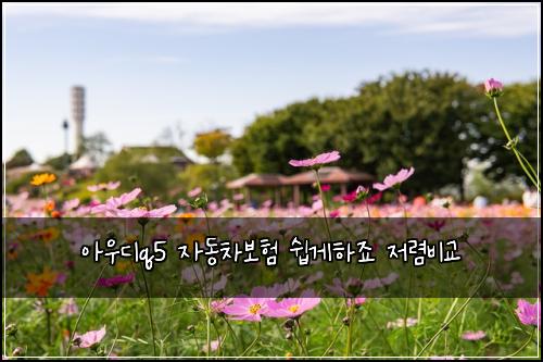 아우디q5 자동차보험 쉽게하죠  저렴비교