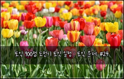 토익 900점 도전기 토익 일정 : 토익 문제 #24