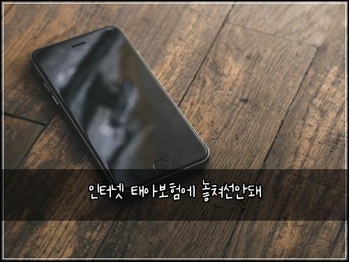 인터넷 태아보험에 놓쳐선안돼