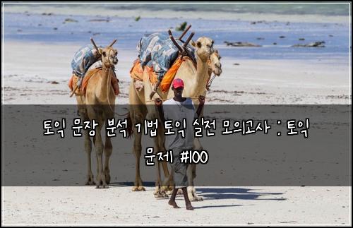토익 문장 분석 기법 토익 실전 모의고사 : 토익 문제 #100