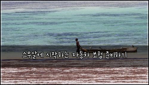 스무살에 시작하는 자동차 보험 준비하기