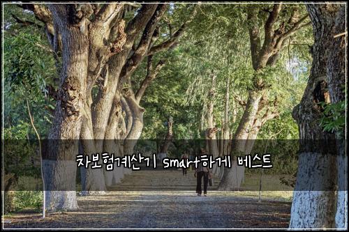 ์ฐจ๋ณดํ๊ณ์ฐ๊ธฐ smartํ๊ฒ ๋ฒ ์คํธ