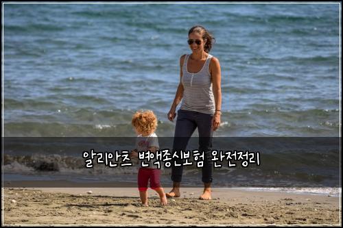 알리안츠 변액종신보험 완전정리 
