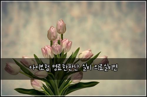 ์์ด๋ณดํ ๋ช
๋ฃํํ๋จ ์ค๋น ์๋ฃ์ค๋น๋ฉด